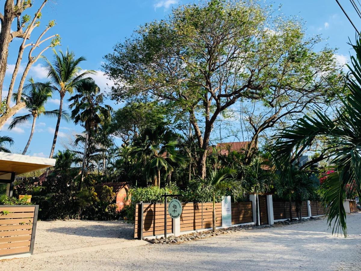 Hotel El Manglar بلايا غراندي المظهر الخارجي الصورة